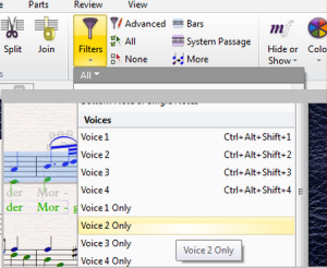 Sibelius filter showing voice filter